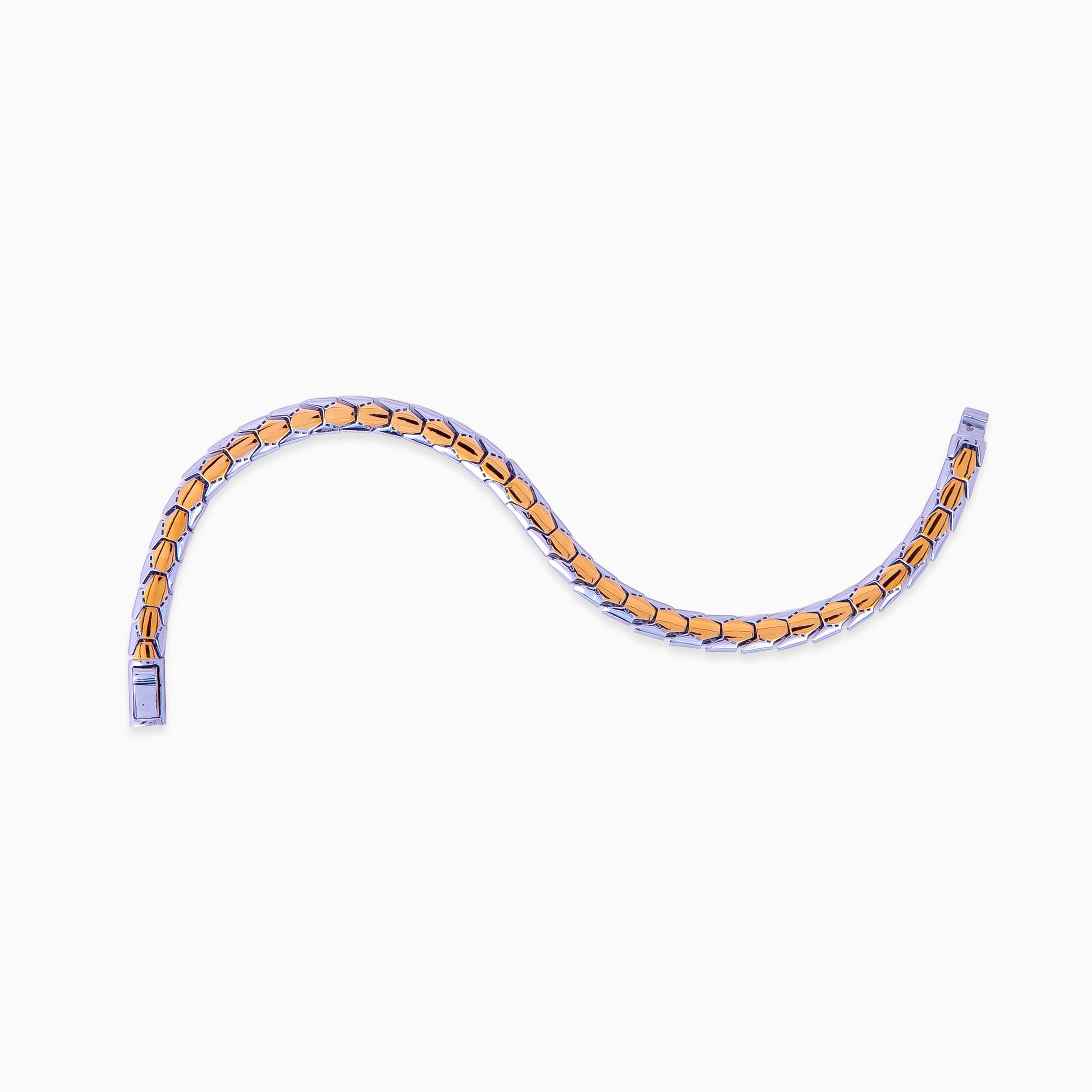 Scale-Link Men’s Bracelet